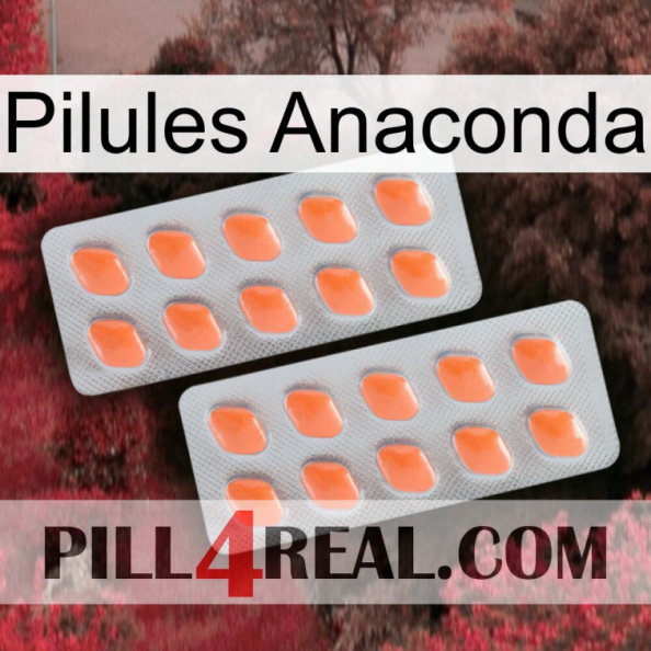 Anaconda Pills 27